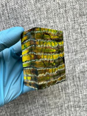 Mammoth tooth block stabilized for knifehandl and handmade
#mammoth #mammothscales #mammothblock #knifehandlematerial #knifemakingcommunity #knifehandles #knifemakingsupplies #knifescales 
