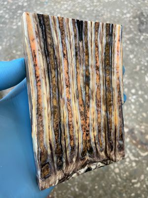 Mammoth tooth scales stabilized pair for knifehandl and handmade
#mammoth #tusk #mammothscales #mammothblock #knifehandlematerial #knifemakingcommunity #knifehandles #knifemakingsupplies #knifescales 
