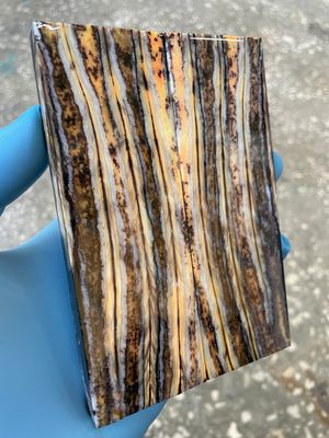 Mammoth tooth scales stabilized pair for knifehandl and handmade
#mammoth #tusk #mammothscales #mammothblock #knifehandlematerial #knifemakingcommunity #knifehandles #knifemakingsupplies #knifescales 
