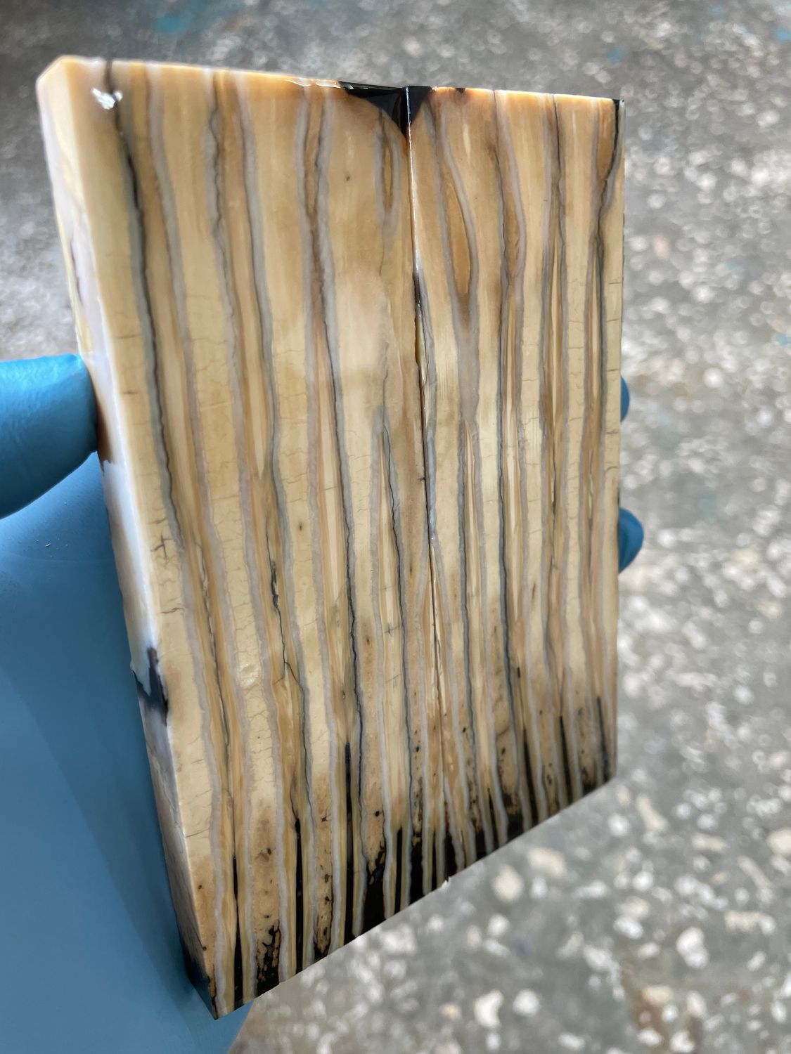 Mammoth tooth scales stabilized pair for knifehandl and handmade
#mammoth #tusk #mammothscales #mammothblock #knifehandlematerial #knifemakingcommunity #knifehandles #knifemakingsupplies #knifescales 
