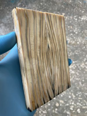 Mammoth tooth scales stabilized pair for knifehandl and handmade
#mammoth #tusk #mammothscales #mammothblock #knifehandlematerial #knifemakingcommunity #knifehandles #knifemakingsupplies #knifescales 
