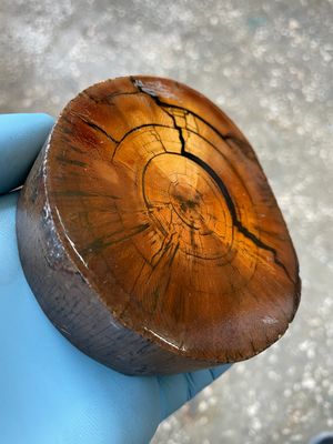 mammoth tusk stabilized disk for knifemaking and handmade
#mammoth #tusk #mammothtusk