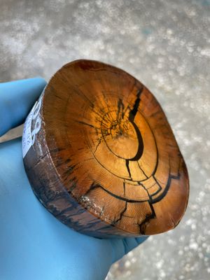 mammoth tusk stabilized disk for knifemaking and handmade
#mammoth #tusk #mammothtusk