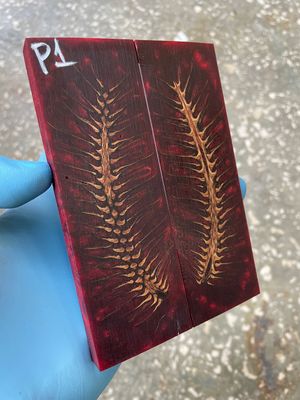 Pinecone in resin scales for knifehandl or handmade
#pinecone #pine #cone #spruce #knifehandl #knifehand