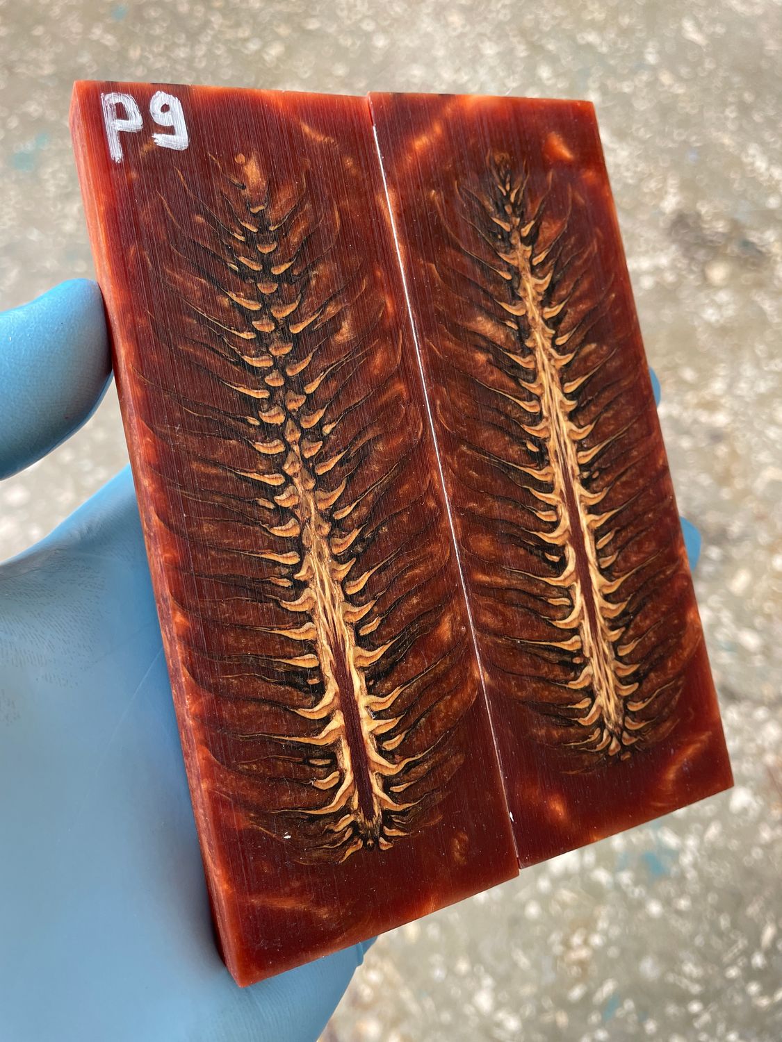 Pinecone in resin scales for knifehandl or handmade
#pinecone #pine #cone #spruce #knifehandl #knifehand