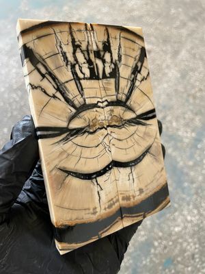 Mammoth tusk stabilized pair scales for knifehandl and handmade 4.96-1.61-0.39 inch MTD22