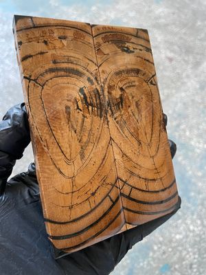 Mammoth tusk stabilized pair scales for knifehandl and handmade 5.19-1.77-0.39 inch MTD21