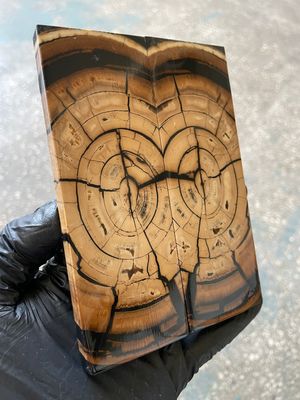 Mammoth tusk stabilized pair scales for knifehandl and handmade 5.27-1.81-0.39 inch MTD24