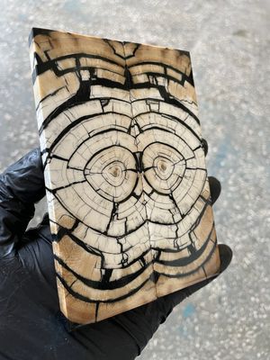 Mammoth tusk stabilized pair scales for knifehandl and handmade 5.23-1.81-0.39 inch MTD32