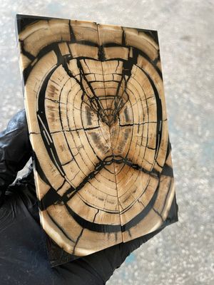 Mammoth tusk stabilized pair scales for knifehandl and handmade 5.27-1.77-0.39 inch MTD28