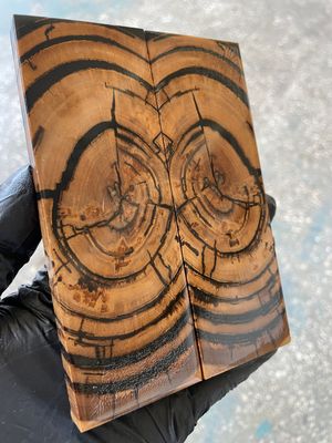 Mammoth tusk stabilized pair scales for knifehandl and handmade 5.27-1.81-0.39 inch MTD29