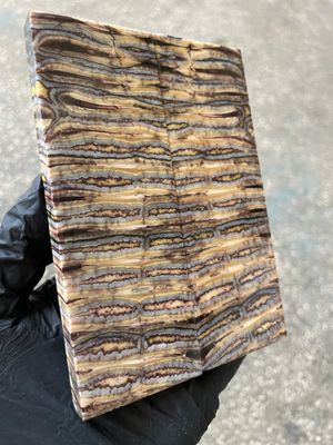 Mammoth tooth scales stabilized pair for knifehandl and handmade 5.19-1.81-0.39 inch T764