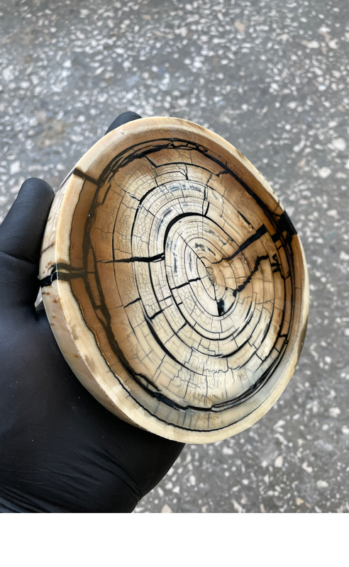 mammoth tusk disk for knifehandl