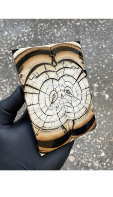 mammoth tusk scales