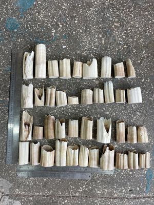 walrus tusk off cutting set 5 kg BOX7