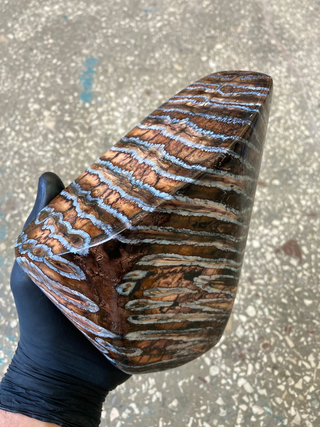 Mammoth tooth stabilized whole