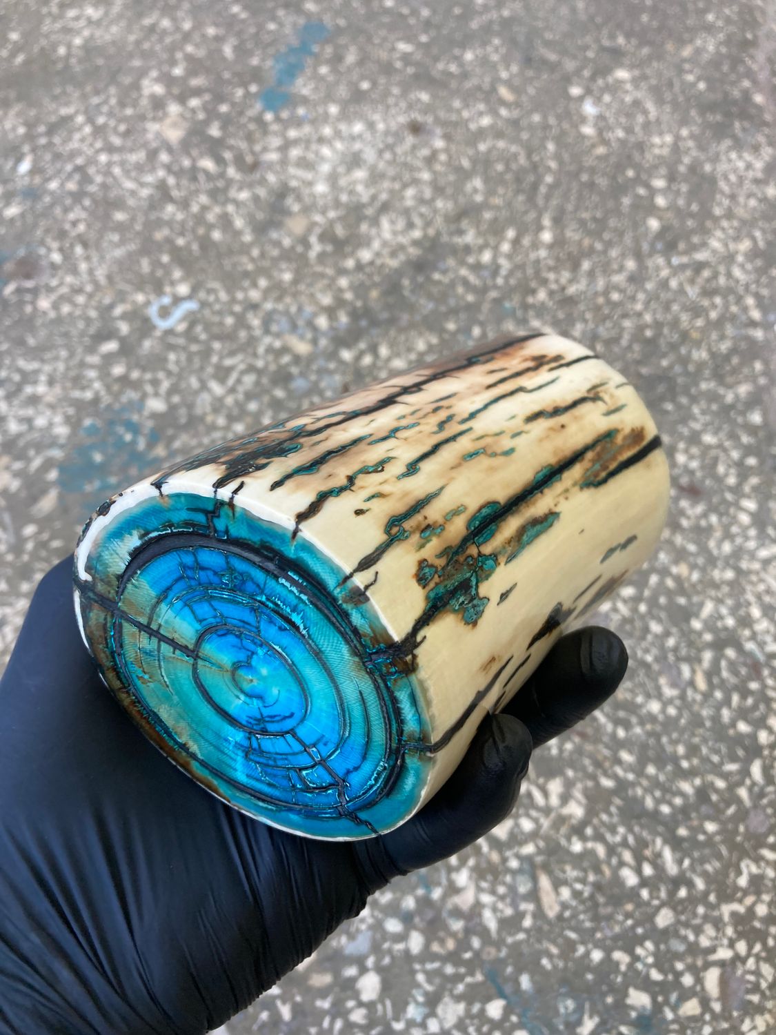 Mammoth tusk stabilized whole piece turquos
