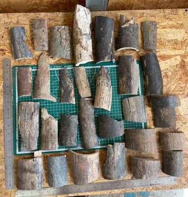 mammoth tusk bark off cutting set 5 kg BOX10