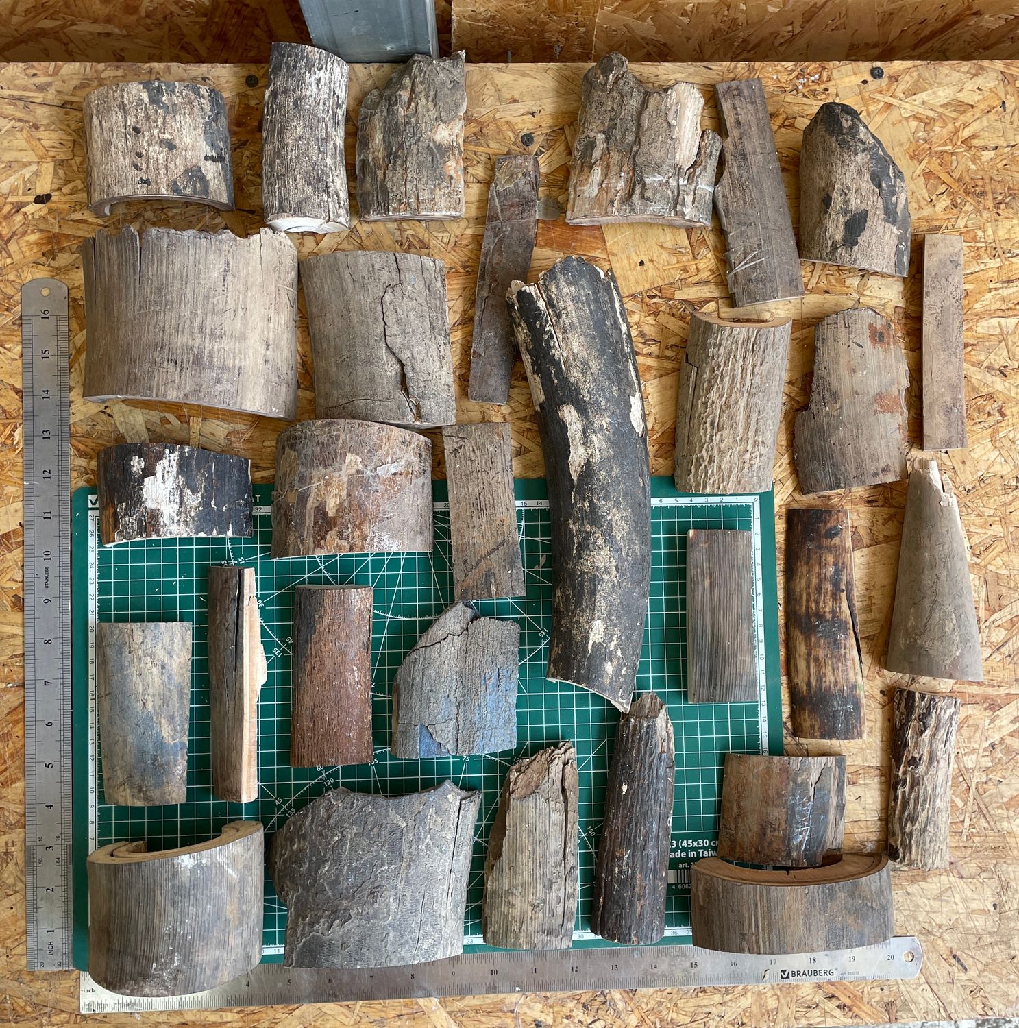 mammoth tusk bark off cutting set 5 kg BOX12