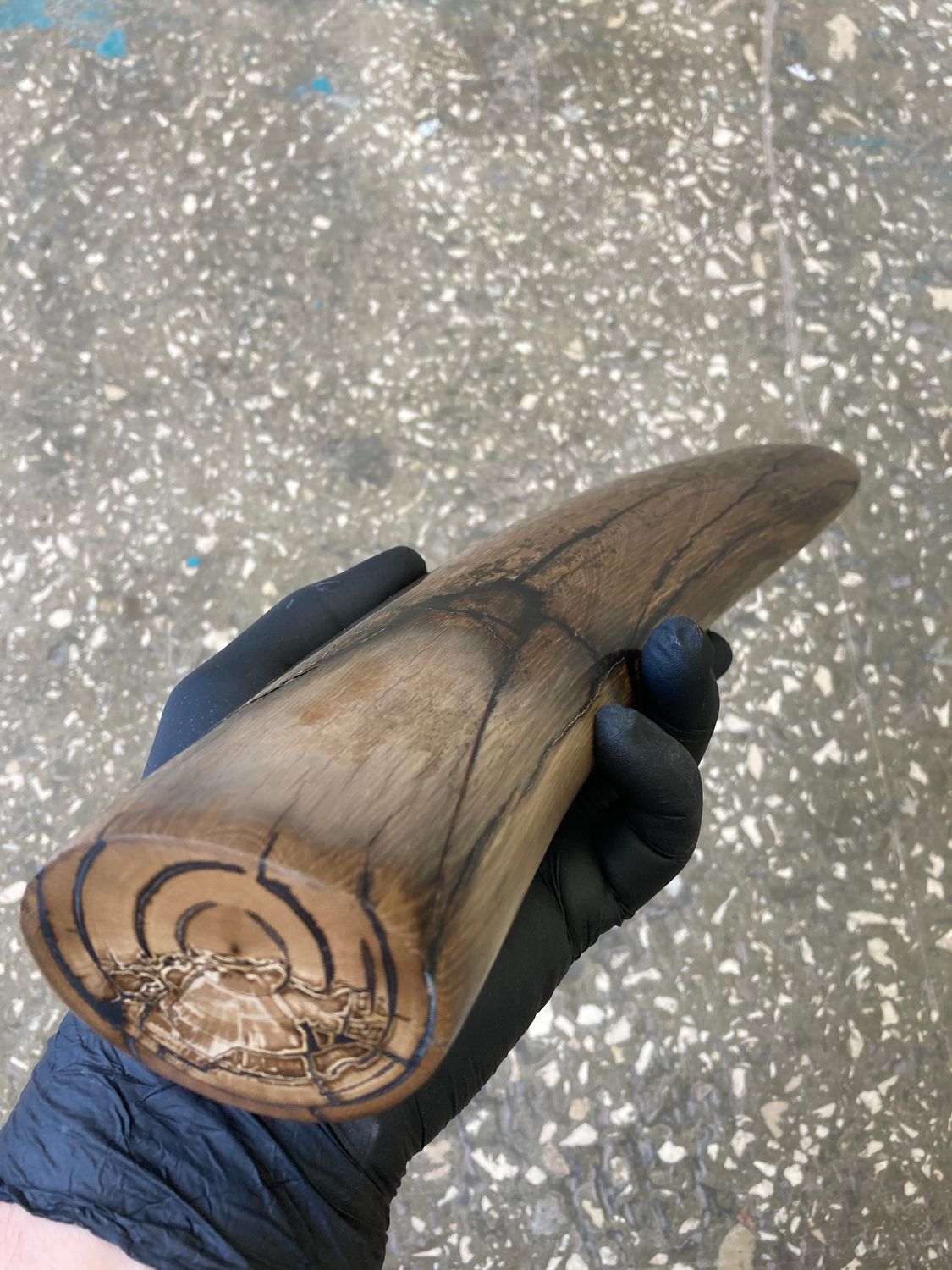 Mammoth tusk stabilized whole natural tip