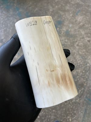 Walrus tusk for scrimshaw knifehandl carving 1.32 lb W129