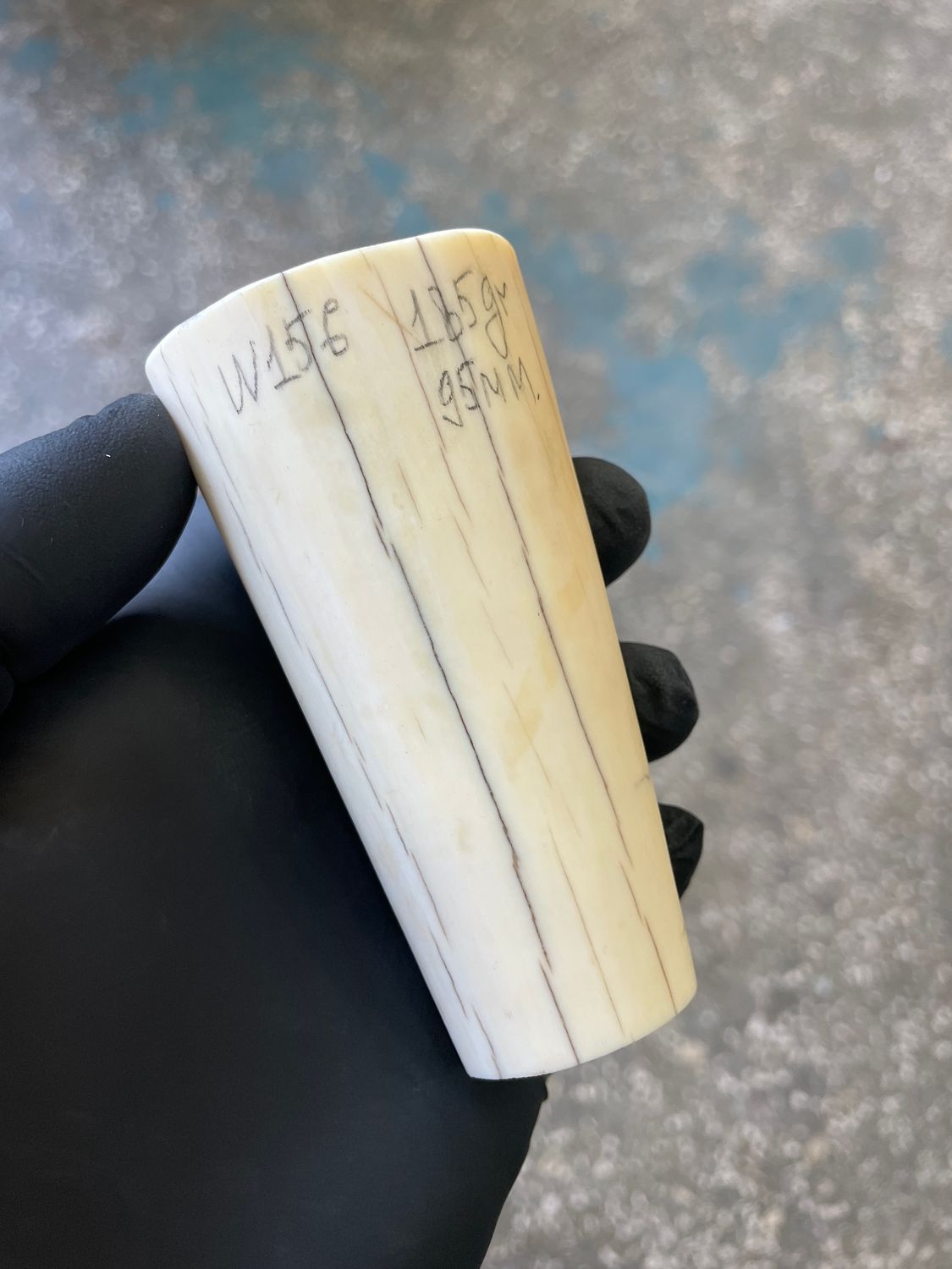 Walrus tusk for scrimshaw knifehandl carving 0.40 lb W156