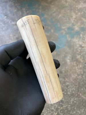 Walrus tusk for scrimshaw knifehandl carving 0.42 lb W155
