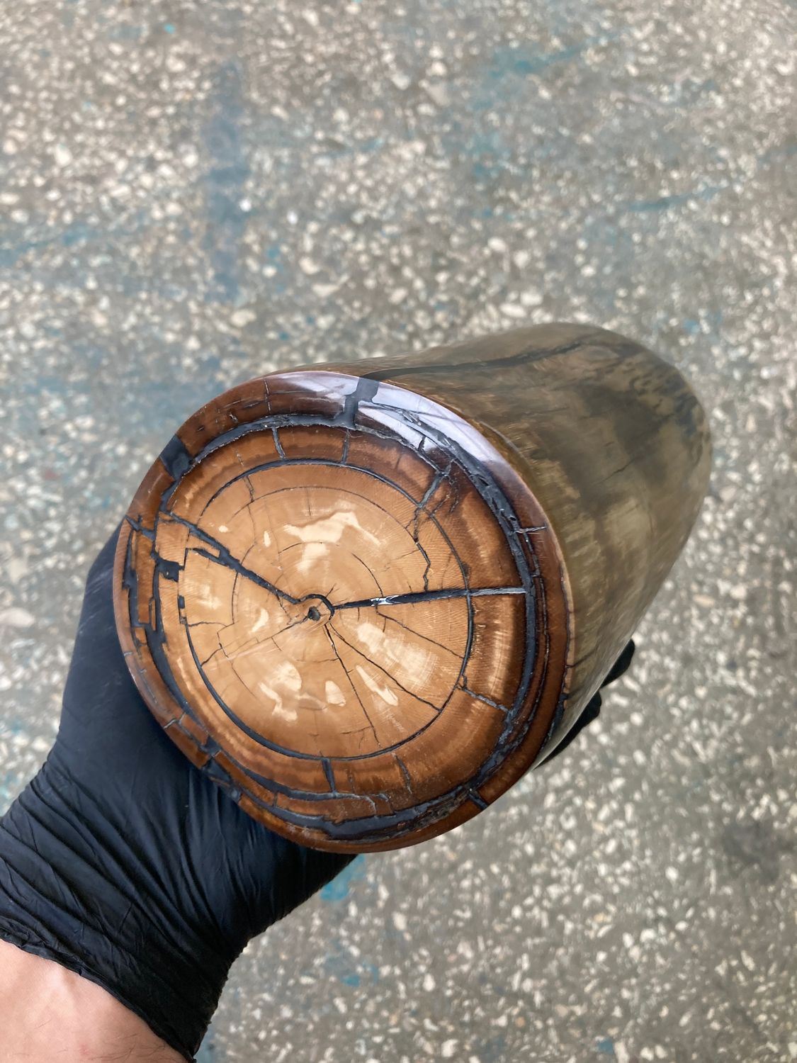  mammoth tusk stabilized whole polished​