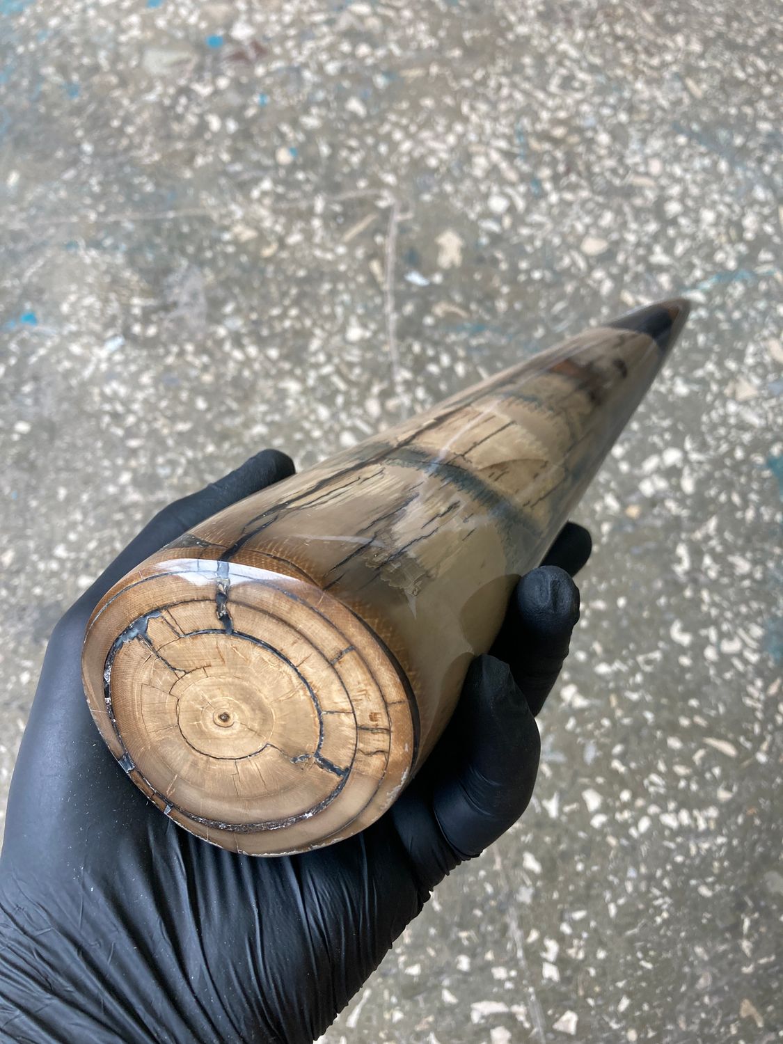 Mammoth tusk stabilized whole natural turquos polished tip2