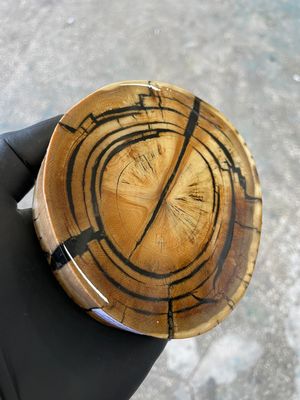 ​Woolly mammoth tusk stabilized disk diameter 3.54-3.93 inch MTD28
