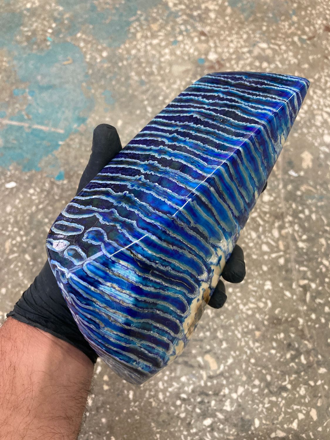 Mammoth tooth stabilized whole blue