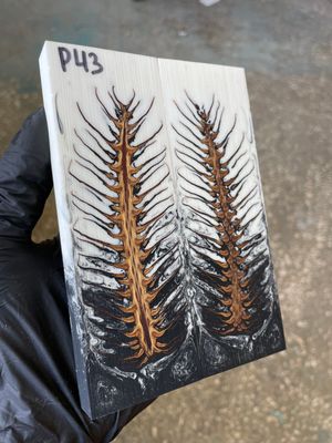 Pinecone in resin stabilized pair scales pine cone sprice for knifehand P43