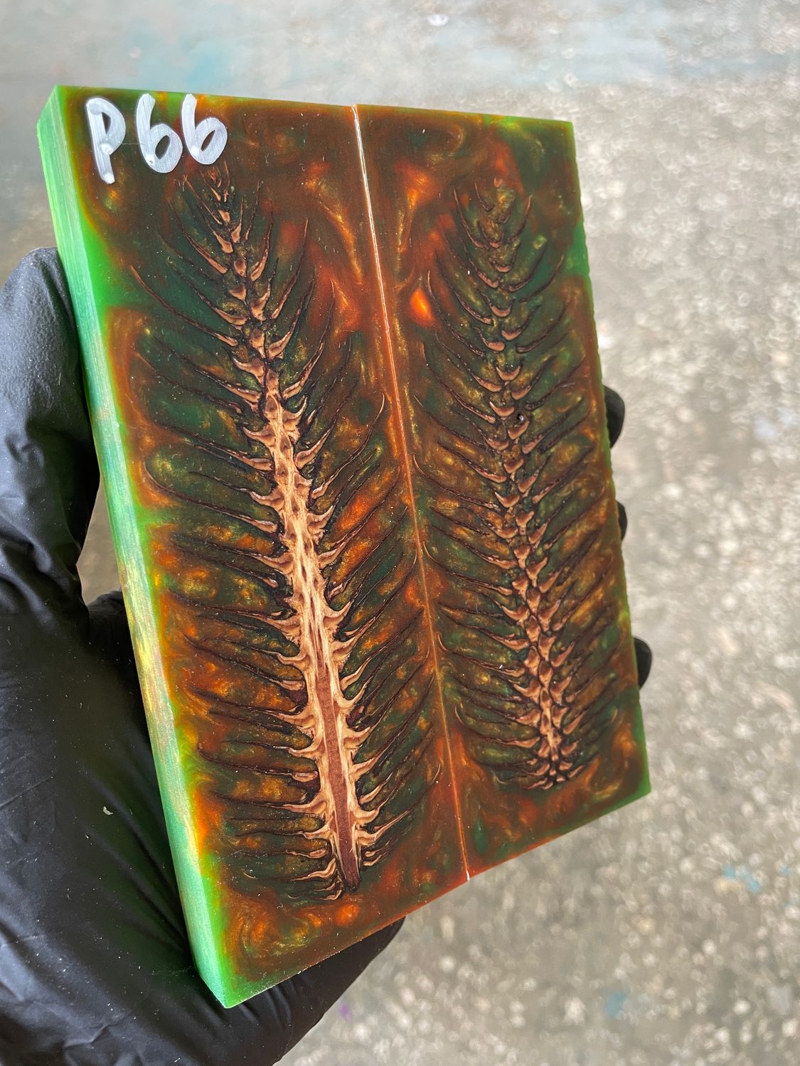 Pinecone in resin stabilized pair scales pine cone spruce for knifehand P66