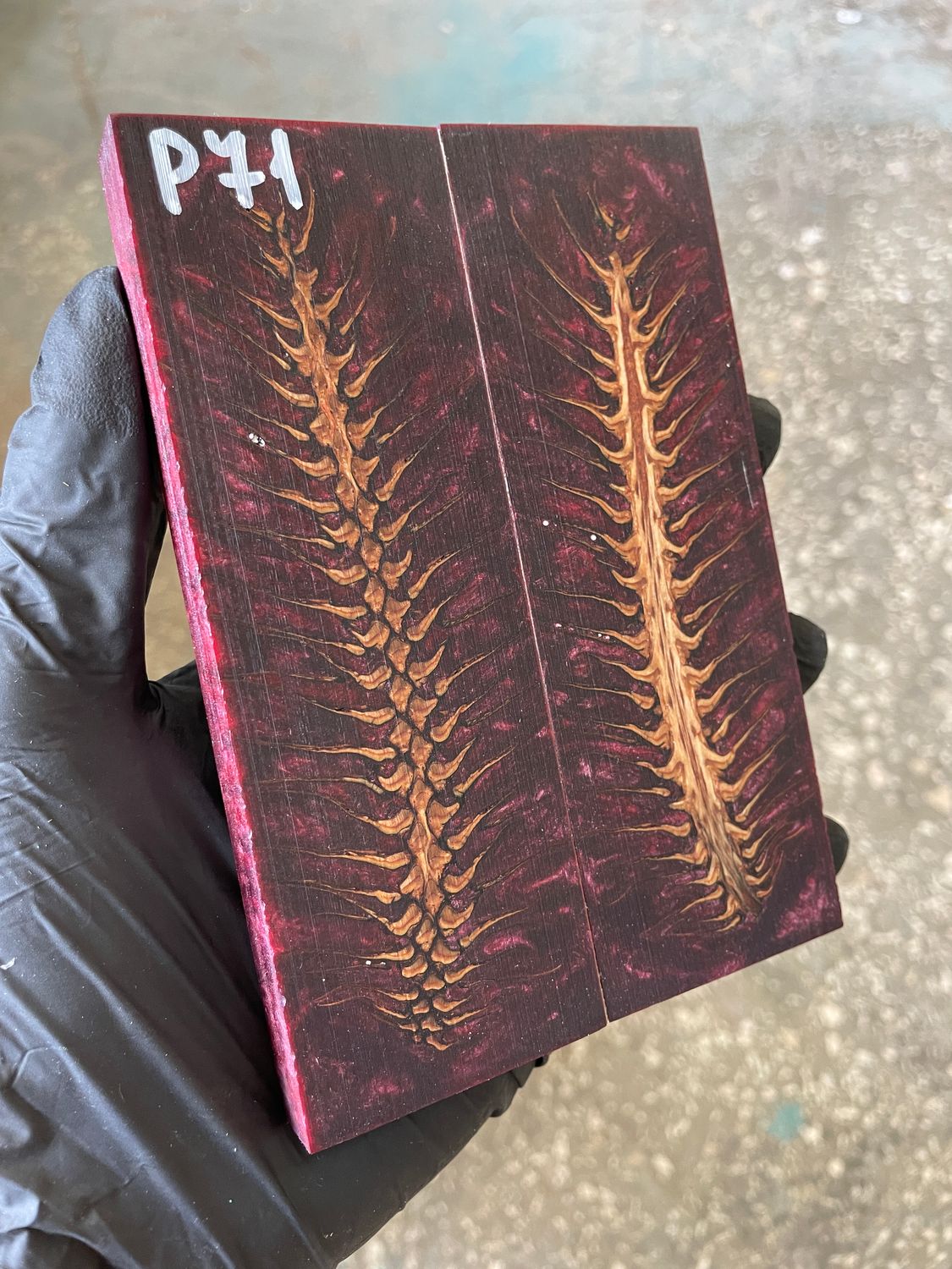 Pinecone in resin stabilized pair scales pine cone spruce for knifehand P71