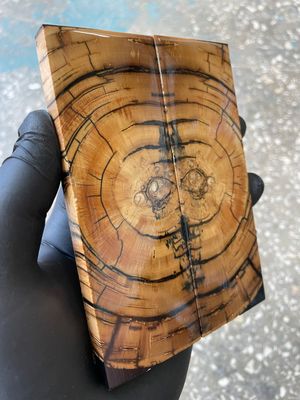 Mammoth tusk pair knife scales 5.11-1.85-0.39 inch MTS36