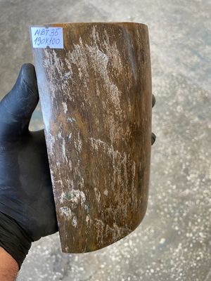 big mammoth tusk bark 1 scale  7.48-4.13 inch MBT35