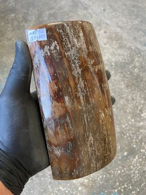 big mammoth tusk bark 1 scale  7.2-4.33 inch MBT37