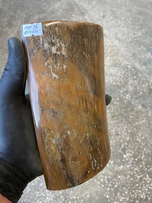 big mammoth tusk bark 1 scale  7.28-4.72 inch MBT36
