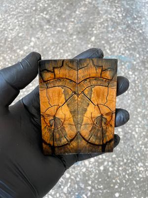 Mammoth tusk scales 3.54-1.18-0.27 inch MTP27