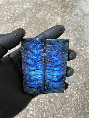 ​Mammoth tooth knife scales for pocket knifehandl 3.54-1.18-0.27 inch MTT30