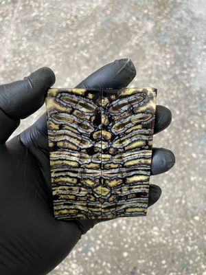 ​Mammoth tooth knife scales for pocket knifehandl 3.54-1.18-0.27 inch MTT49