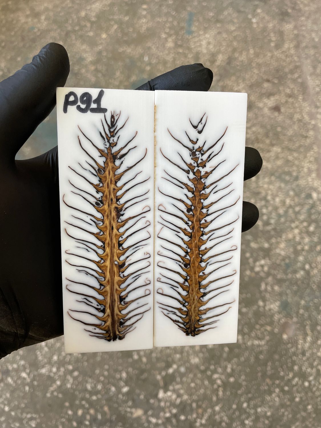 Pinecone resin pair scales for knife P91