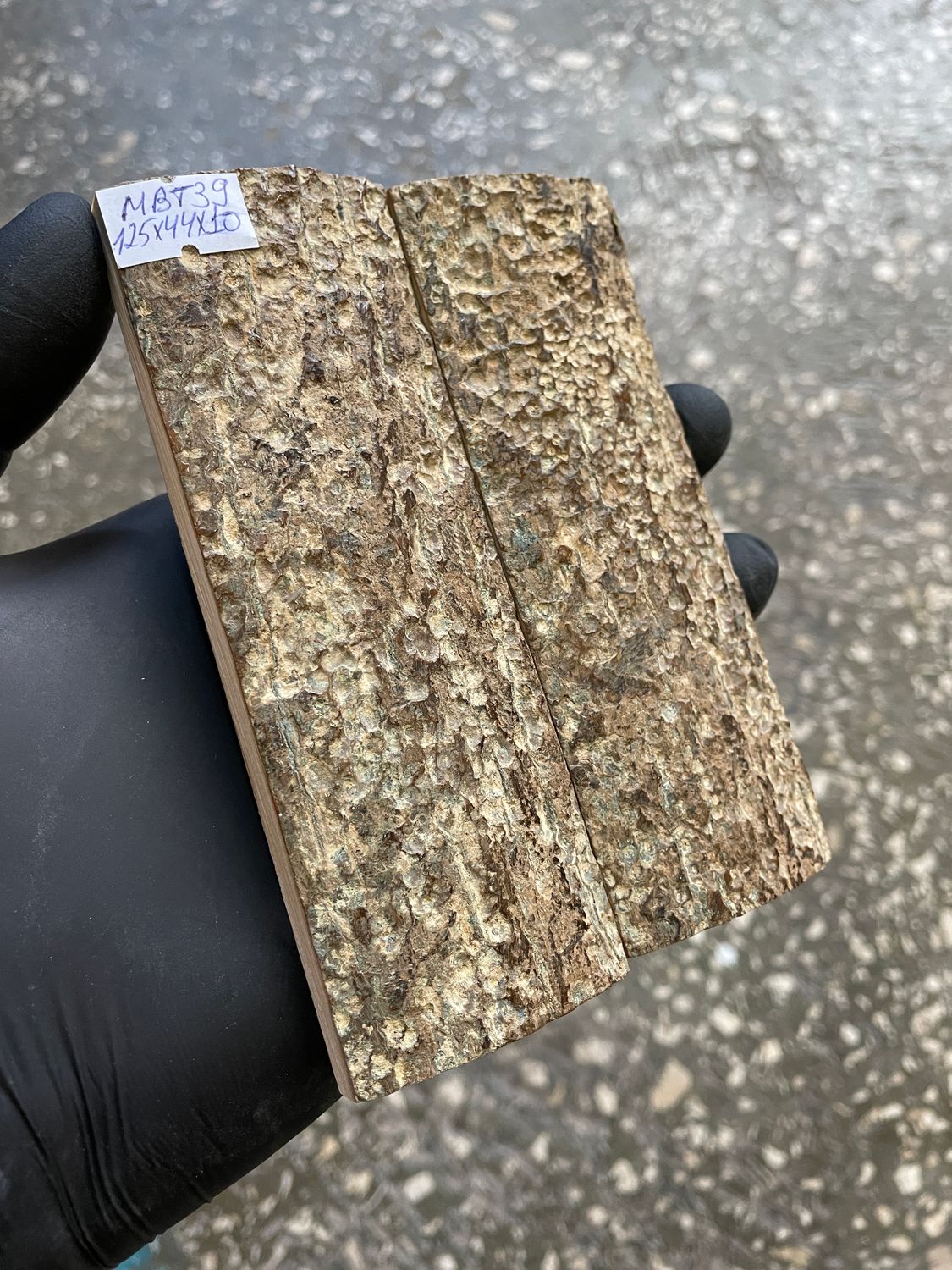mammoth bark tusk pair scales MBT39