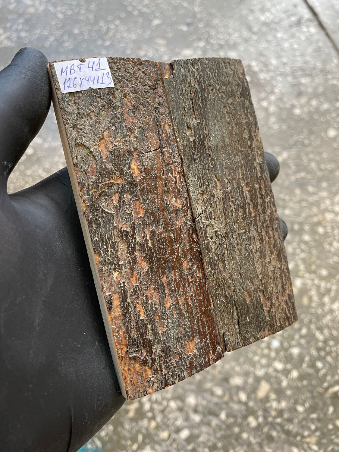mammoth bark tusk pair scales MBT41