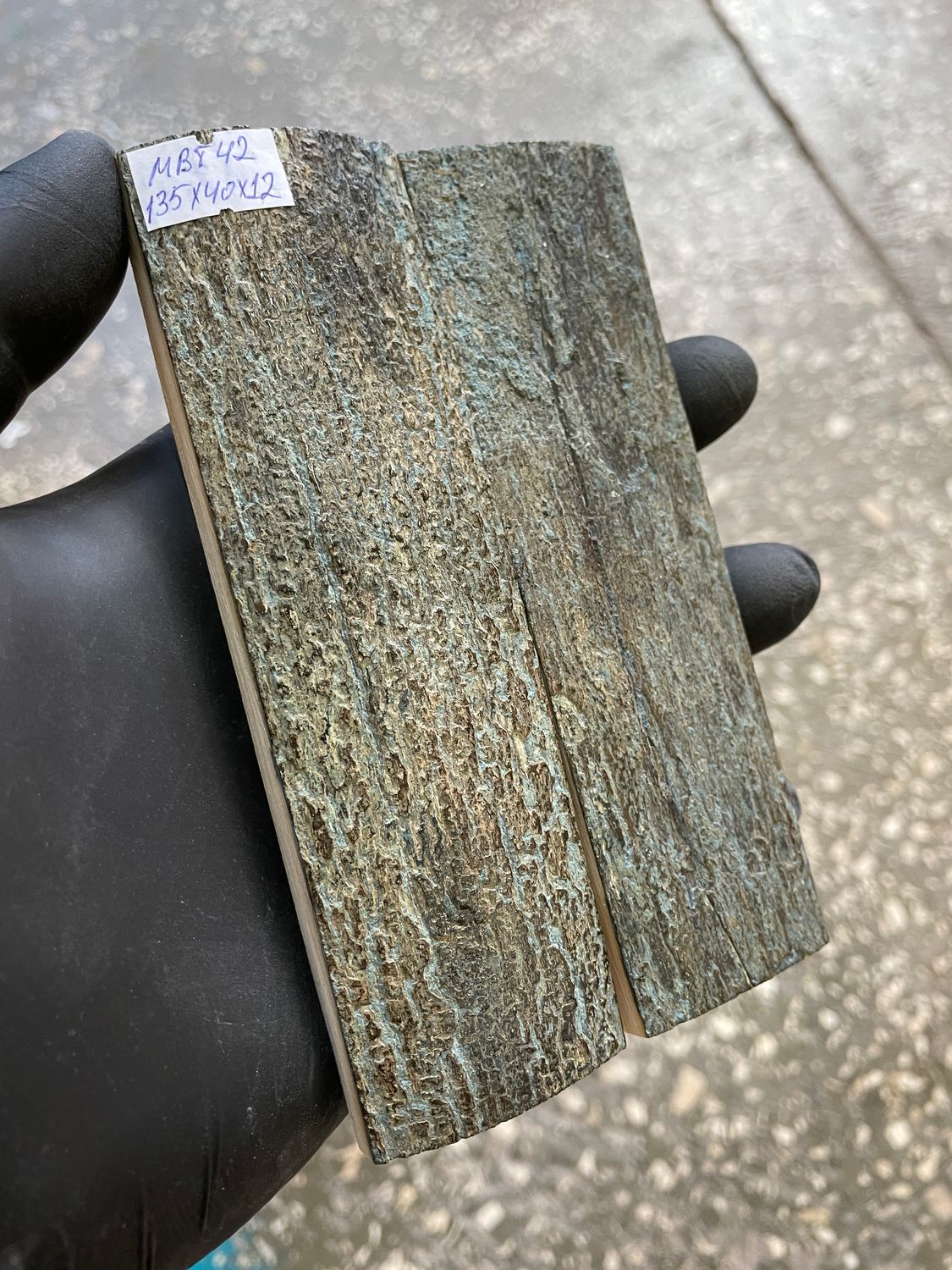 mammoth bark tusk pair scales MBT42