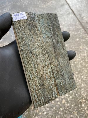mammoth bark tusk pair scales MBT42