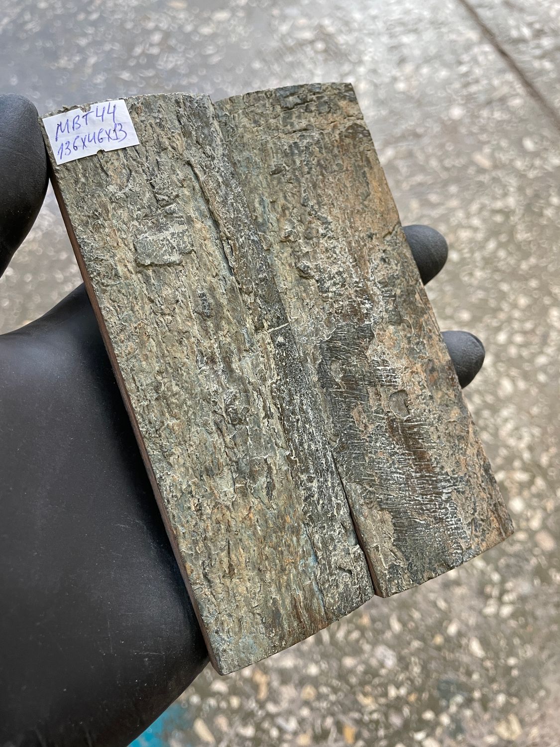 mammoth bark tusk pair scales MBT44