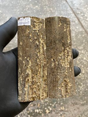 mammoth bark tusk pair scales MBT50