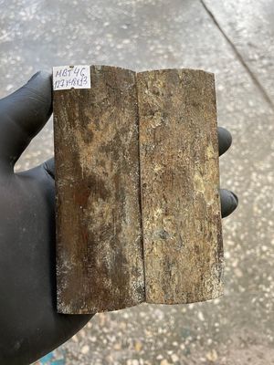 mammoth bark tusk pair scales MBT46