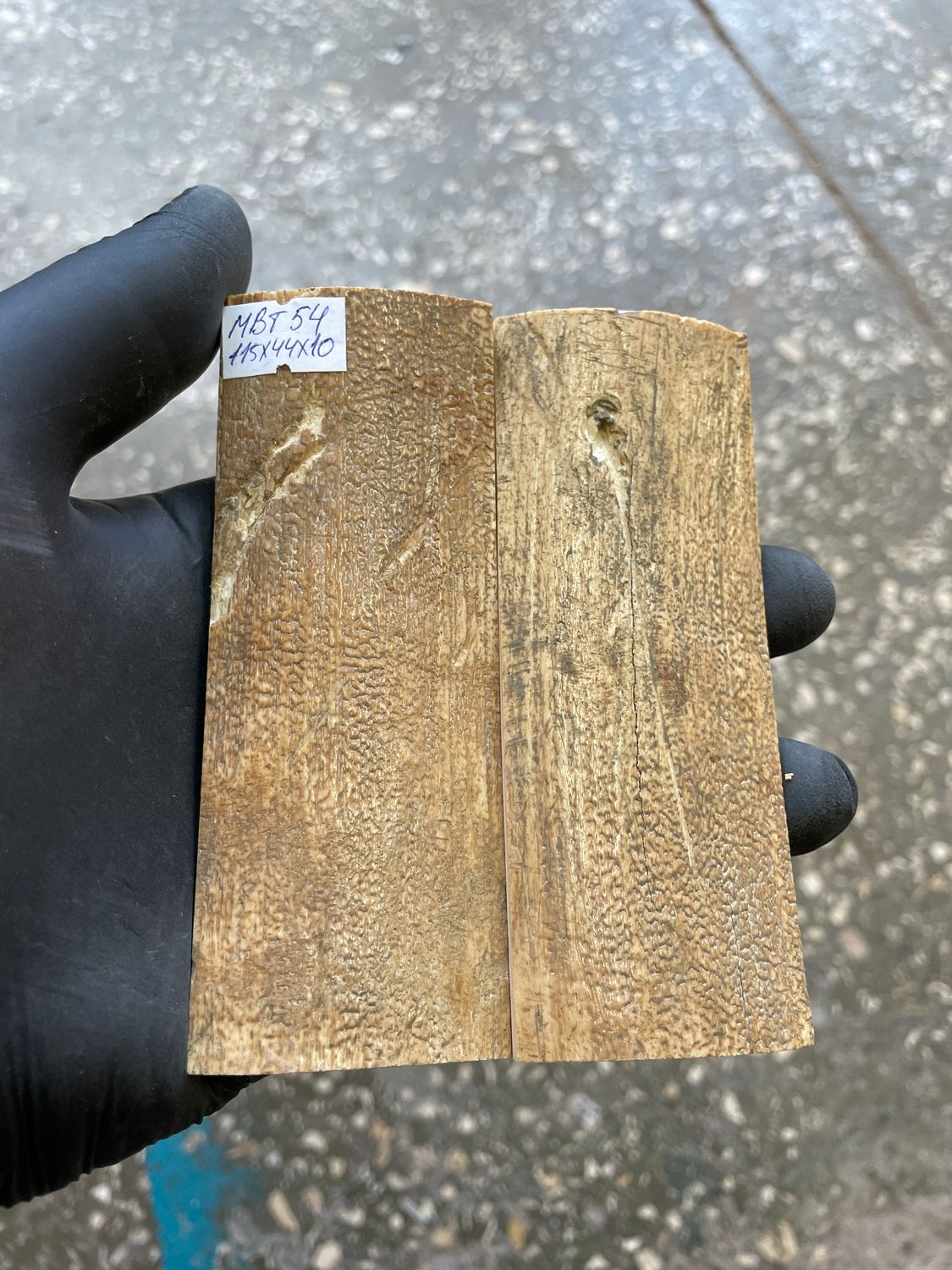 mammoth bark tusk pair scales MBT54